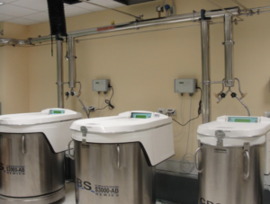 Captura de pantalla 2020 02 03 a las 12.39.06